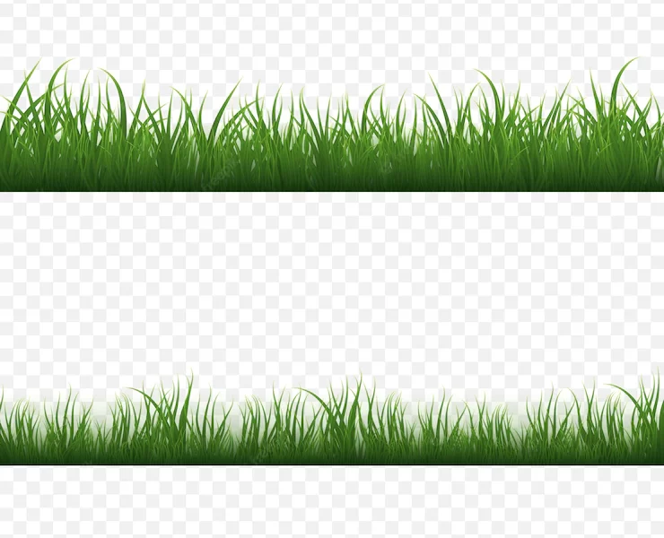 Green grass border realistic design Free Vector