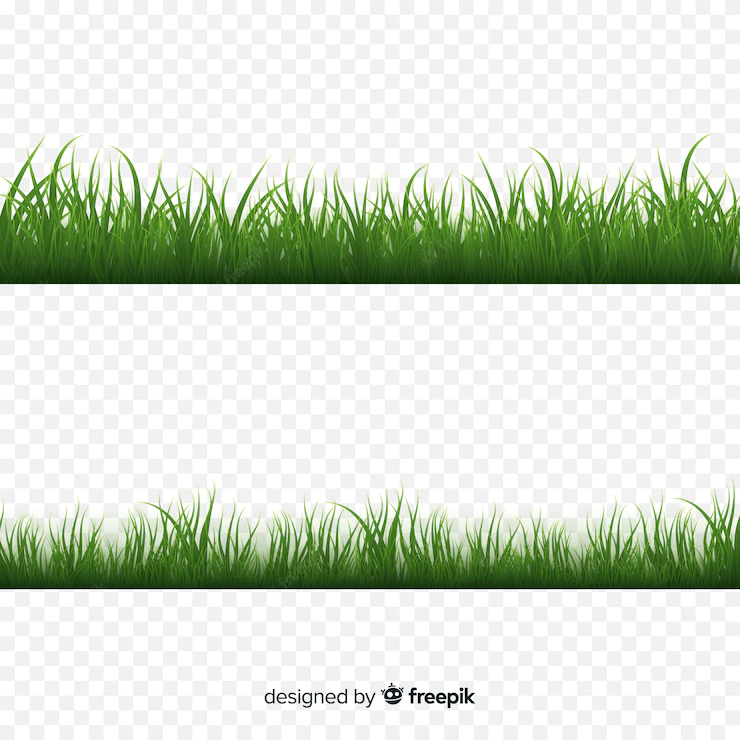 Green Grass Border Realistic Design 52683 14007