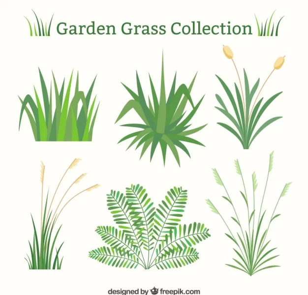 Green grass set in flat design Free Vector