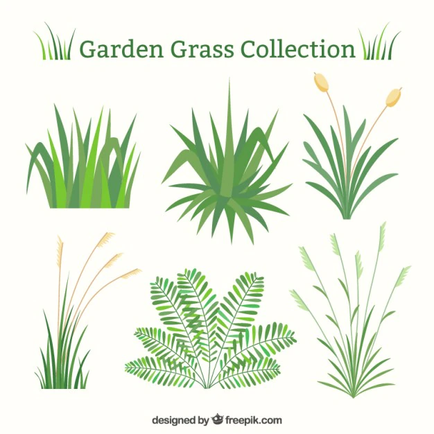 Green Grass Set Flat Design 23 2147547435