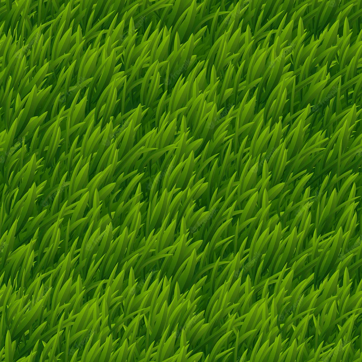 Green Grass Vector Seamless Texture Lawn Nature Meadow Plant Field Natural Outdoor Illustration 1284 47056