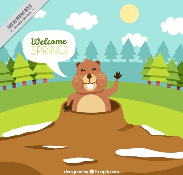 Groundhog day background Free Vector