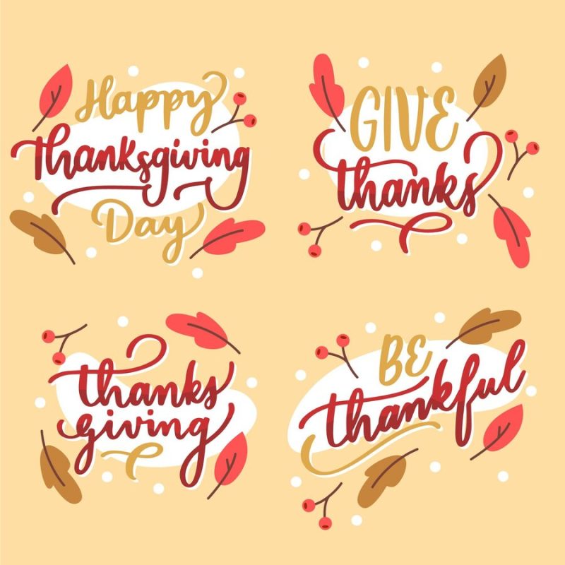 Happy thanksgiving lettering badges collection Free Vector