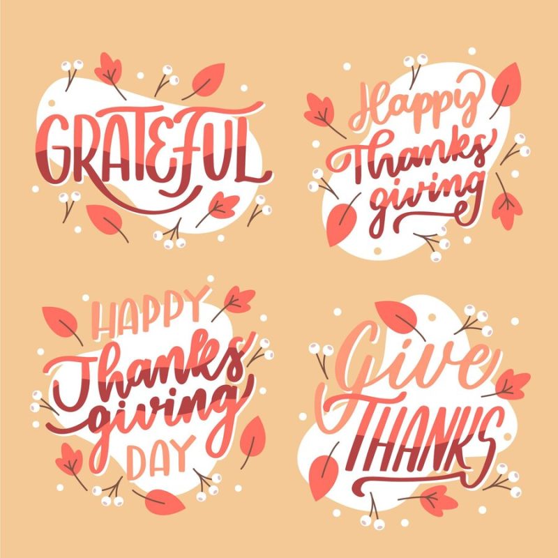 Happy thanksgiving lettering badges collection Free Vector