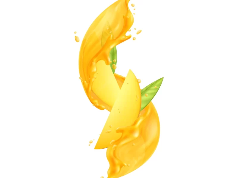 Mango juice slices and leaves on white background realistic vector illustration Free Vector Mango juice slices and leaves on white background realistic vector illustration Free Vector
