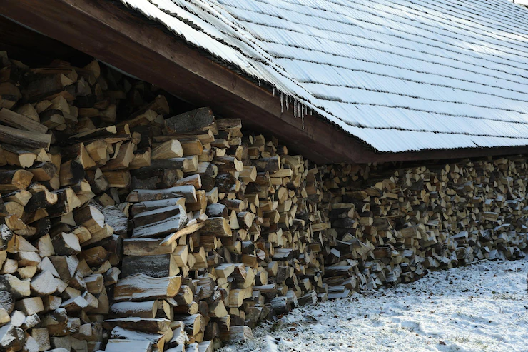 Pile of folded firewood outdoor in winter day Free Photo