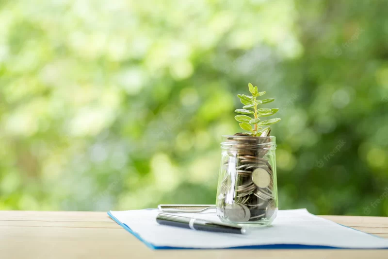 Plant growing from coins in the glass jar on blurred nature Free Photo