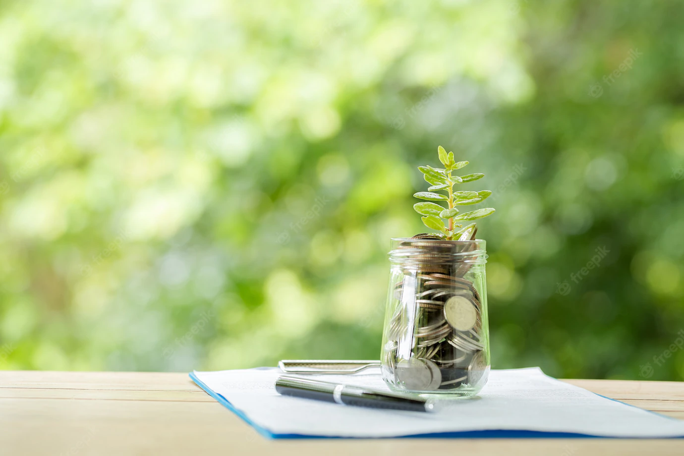 Plant Growing From Coins Glass Jar Blurred Nature 1150 17708