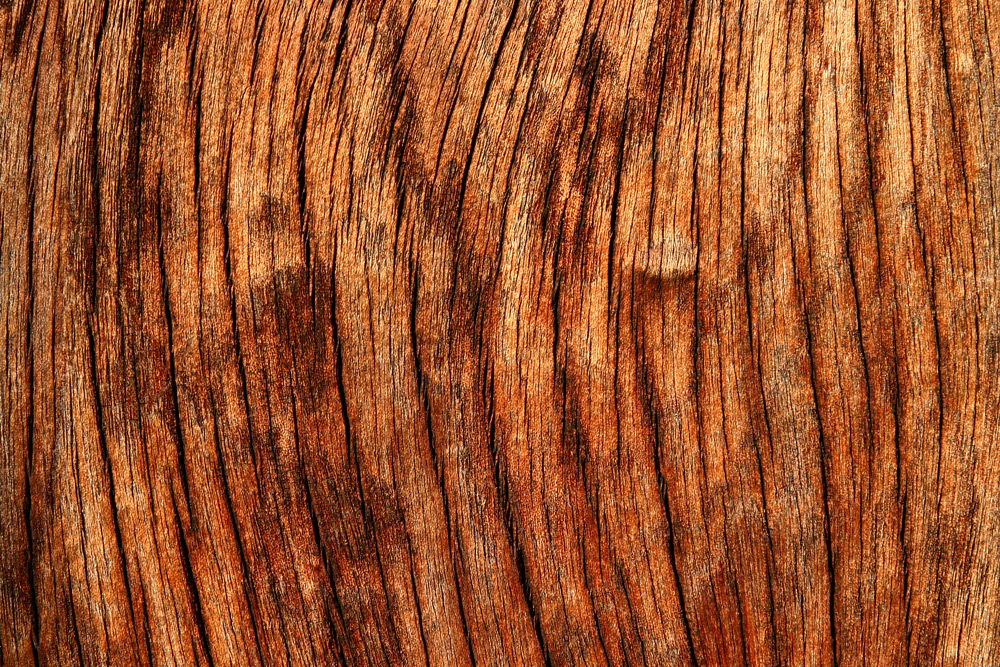 Wood Texture Beiz