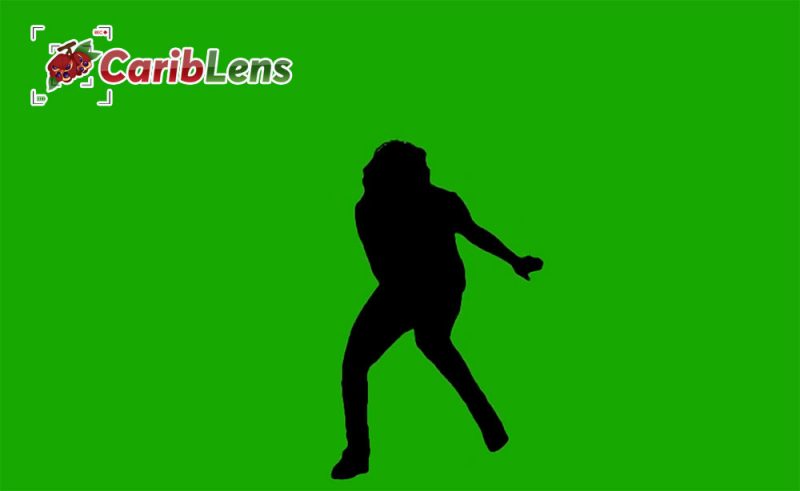 Ding Dong – Cha Cha Bwoy – silhouette green screen video free download