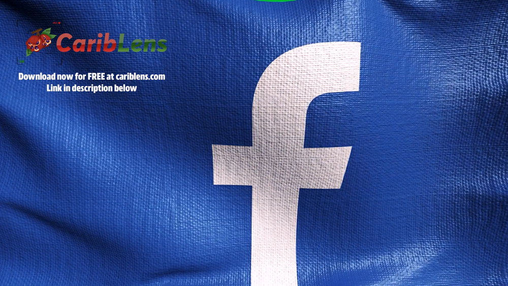 Facebook Logo On Animated Background Social Media 3d Flag Green Screen Video