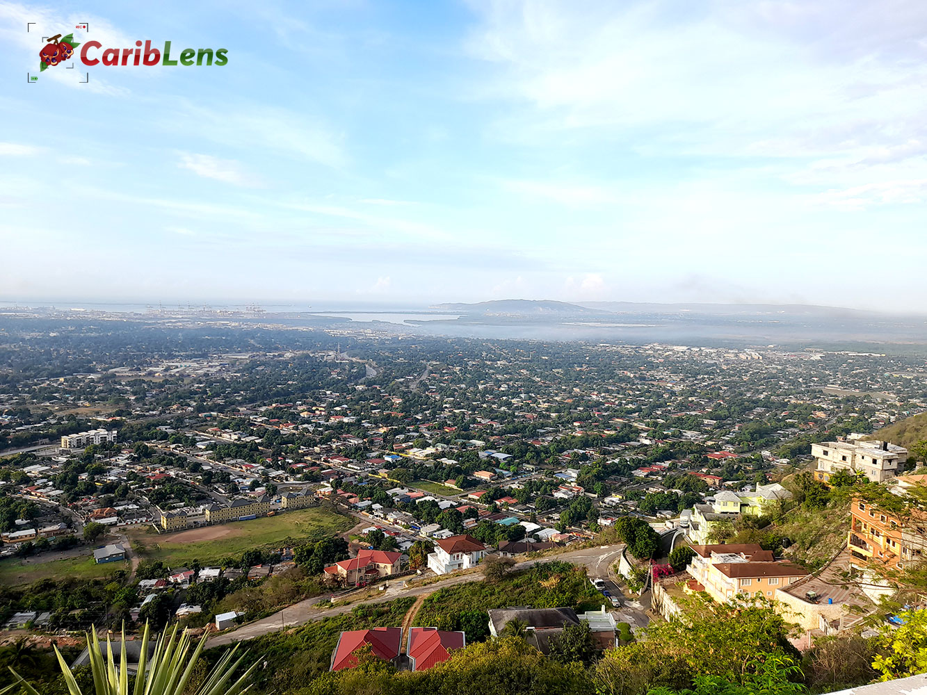 Kingston Jamaica Skyline Views From Queens Hill Free Image Download