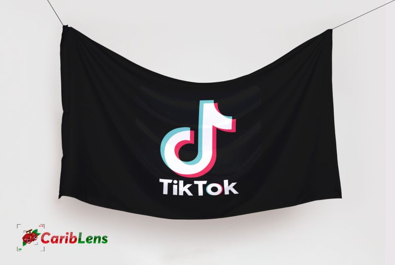 TikTok icon logo flag background Social Media 3D flag PNG