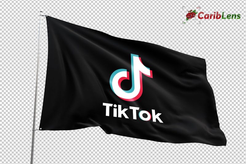 TikTok logo Social Media flag PNG free image download