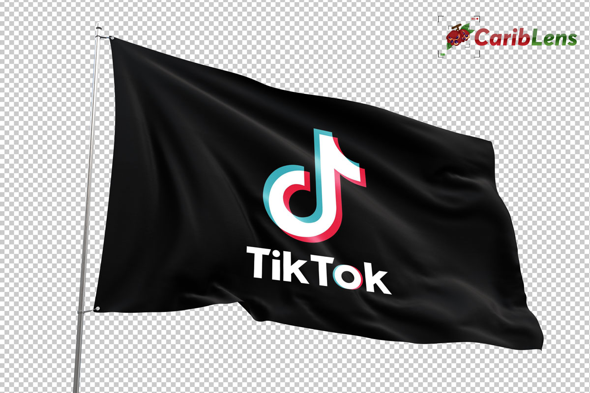 Tiktok Logo Social Media Flag Png Free Image Download