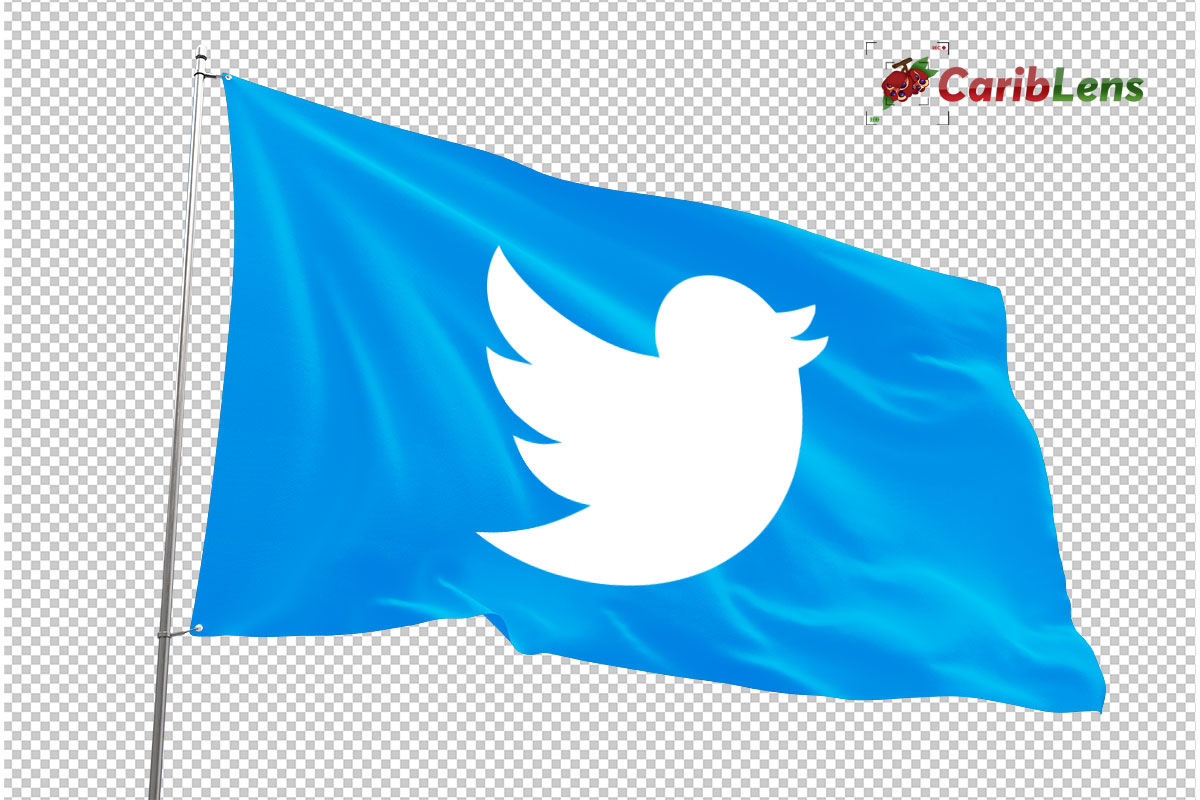 Twitter Logo Flag Background Social Media Flag Png