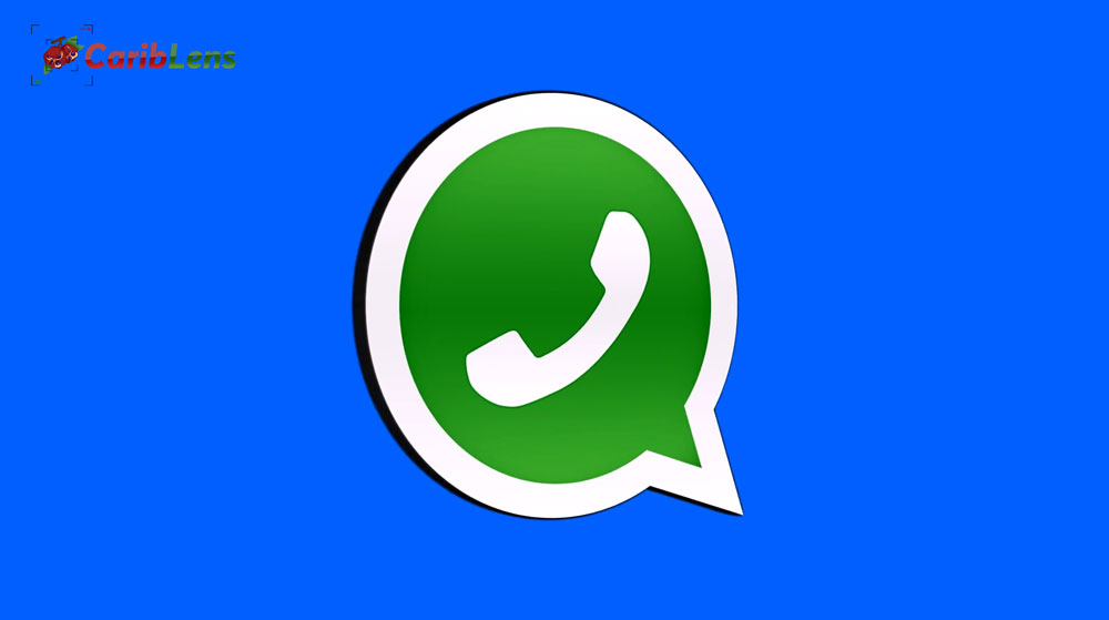 Whatsapp Blue Screen 3d Logo Loop Rotating Animation Free Video Download