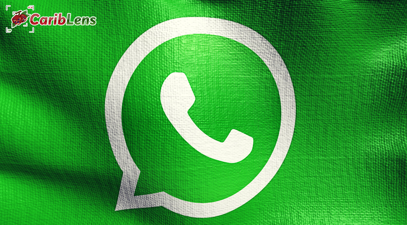 Whatsapp Logo On Animated Background Social Media 3d Flag Green Screen Video