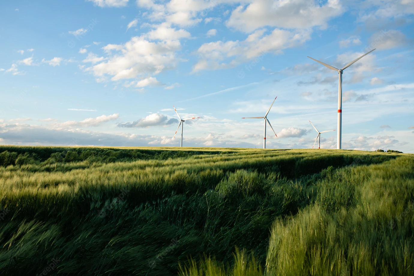 Beautiful Grassy Field With Windmills Distance Blue Sky 181624 14792