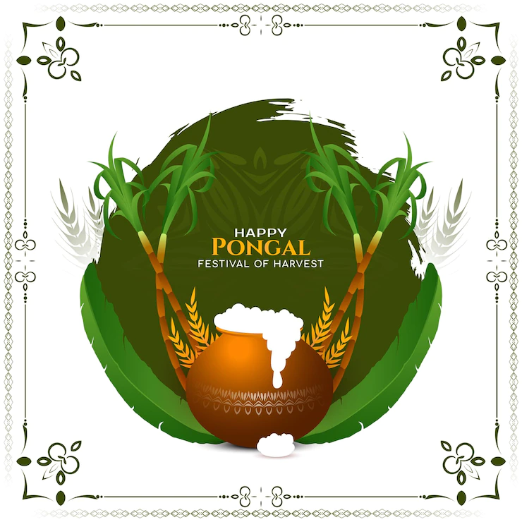 Beautiful Happy Pongal Indian Cultural Festival Background Design Vector 1055 11752