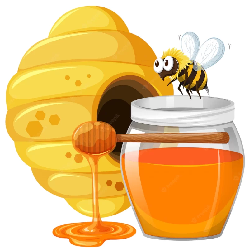 Bee and honey in jar Free Vector