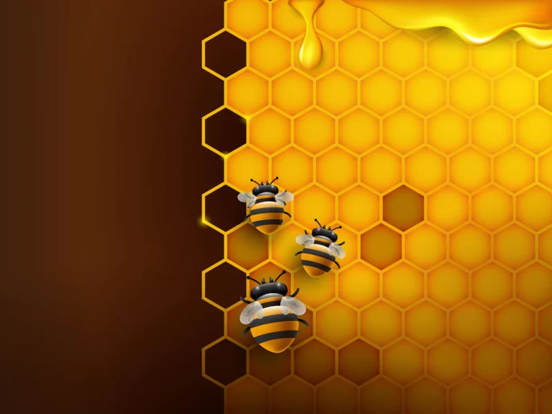 Bee and honeycomb background in orange color Free Vector