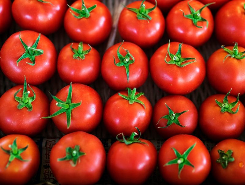 A bunch of fresh tomato produce Free Photo