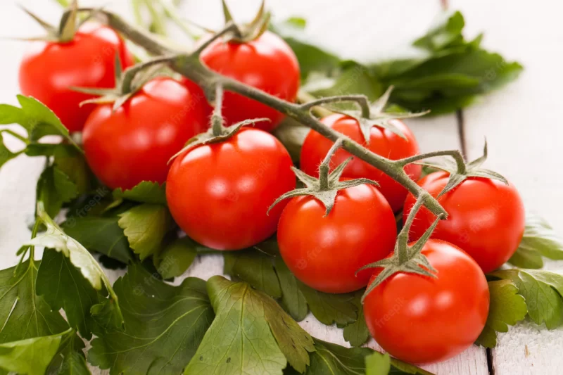 Cherry tomatoes on a branch with parsley Free Photo