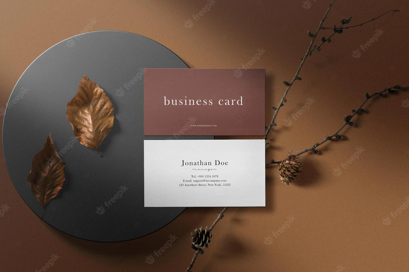 Clean Minimal Business Card Mockup Box With Dry Leaves 481141 6