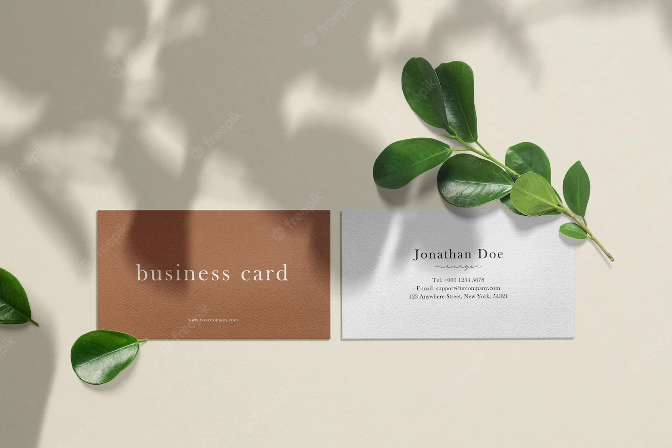 Clean Minimal Business Card Mockup Texture With Leaves 481141 66