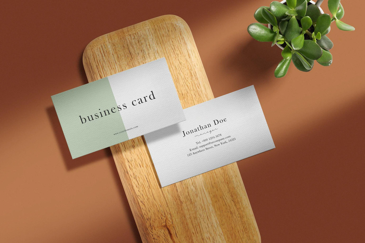 Clean Minimal Business Card Mockup Wooden Plate With Plant 481141 16