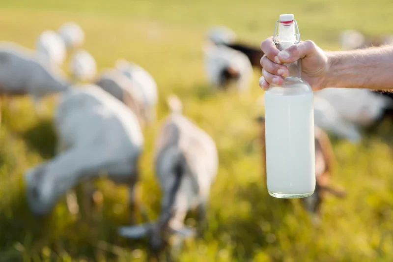 Close-up man with bottle of goat milk Free Photo