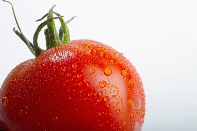 Closeup shot of a fresh tomato with drops of water on it isolated on a white background Free Photo