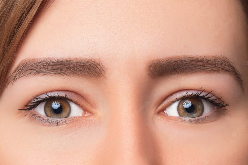 Closeup shot of woman eye with day makeup Free Photo