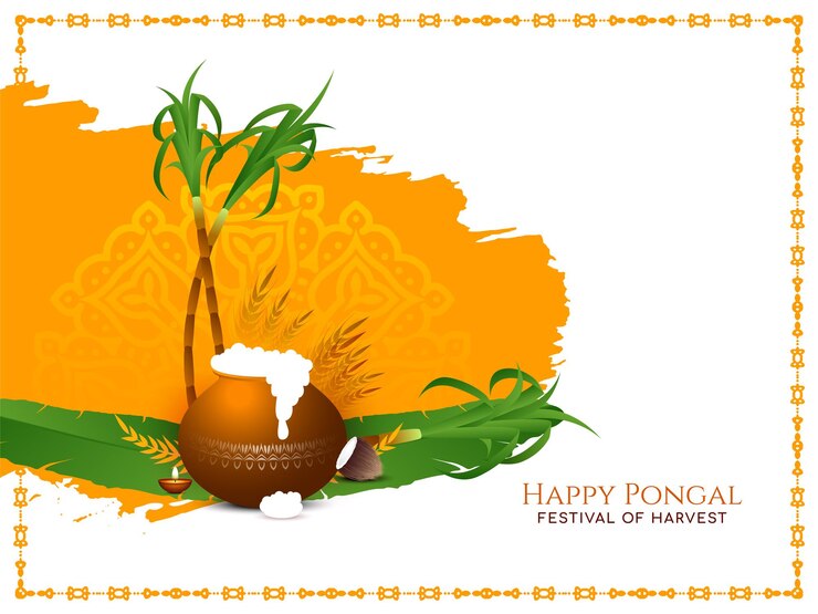 Elegant Happy Pongal Cultural Festival Background Design Vector 1055 11800