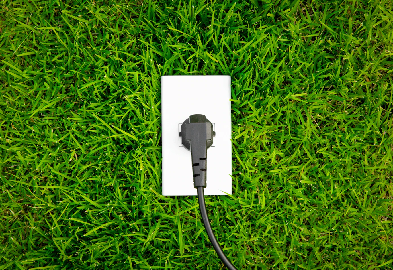 Energy Concept Outlet Fresh Spring Green Grass 1232 1634