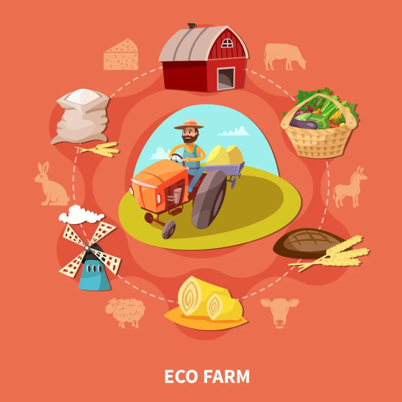 Farm cartoon colored composition Free Vector