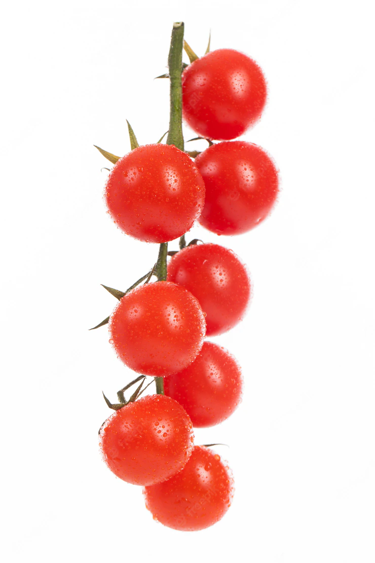 Fresh cherry tomatoes on a branch Free Photo