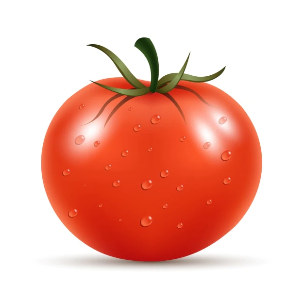 Fresh Tomato 1053 566