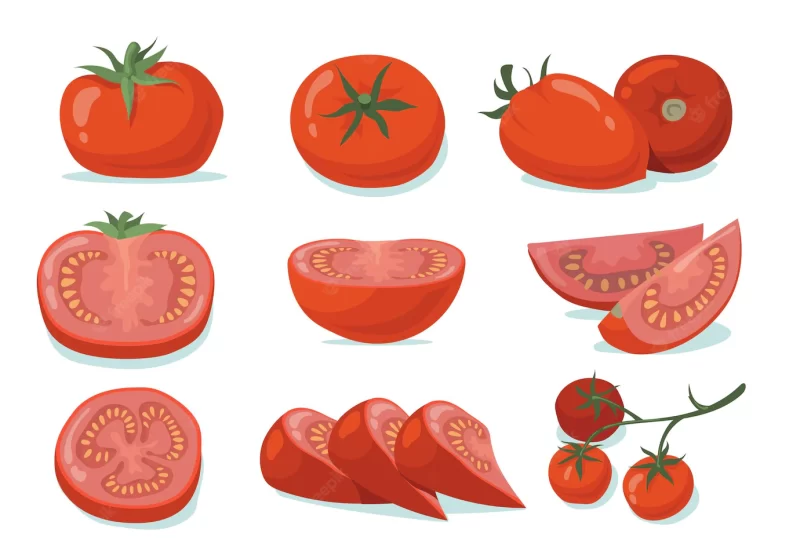 Fresh tomatoes set Free Vector