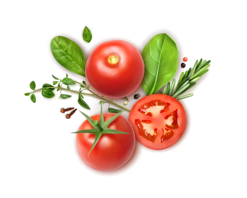 Fresh tomatoes whole and slices realistic composition with basil oregano rosemary herbs aromatic clove spice Free Vector