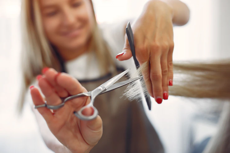Hairdresser Cut Hair Her Client Hair Salon 1157 27199
