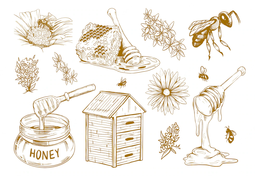 Hand Drawn Honey Flat Sketch Set 74855 5851