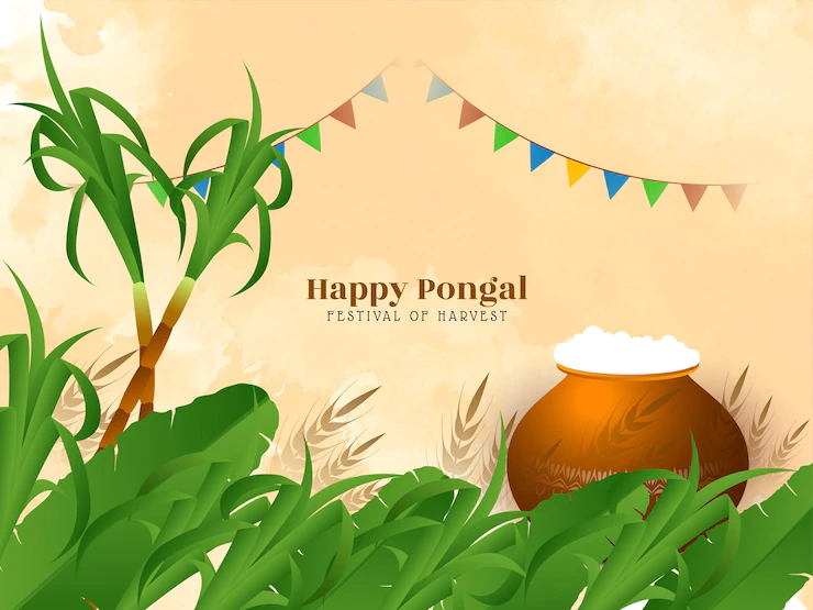 Happy Pongal Harvest Festival Greeting Background Design Vector 1055 11822