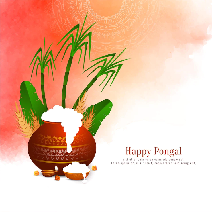 Happy Pongal Traditional Harvest Festival Background Design Vector 1055 11755