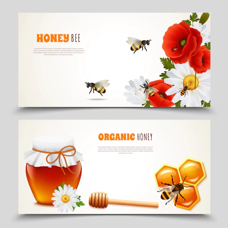 Honey banner set Free Vector