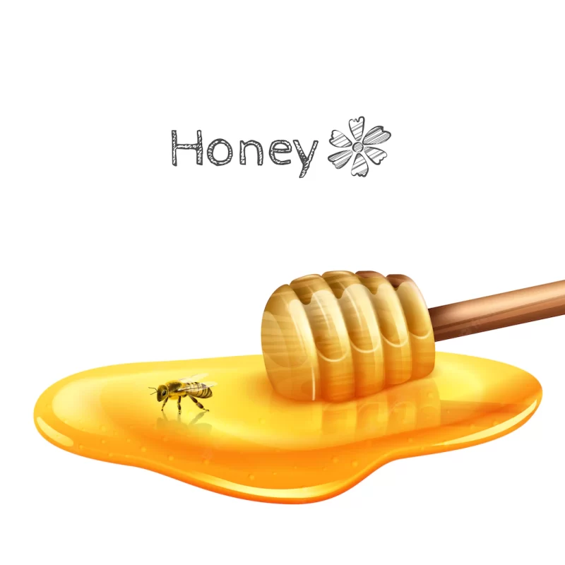 Honey puddle with stick Free Vector