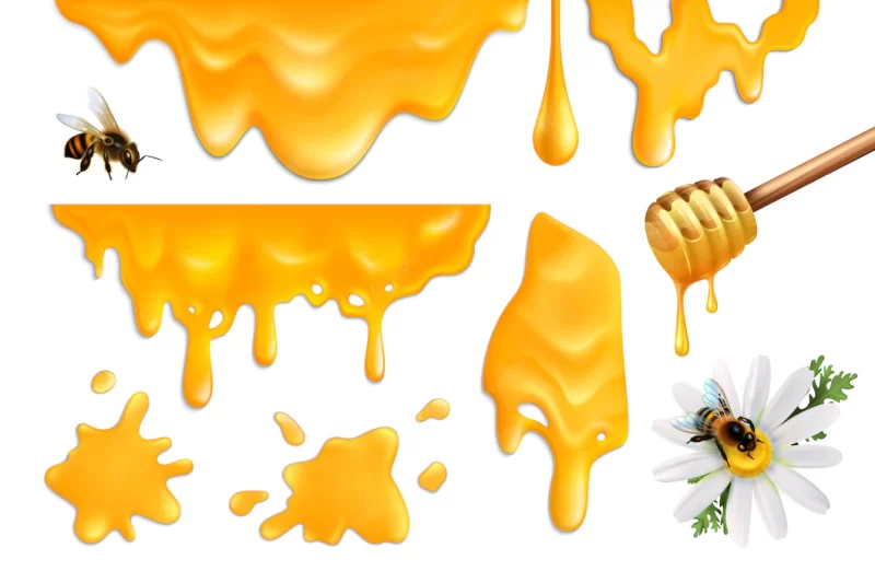 Honey splatters and bees colorful set realistic illustration Free Vector