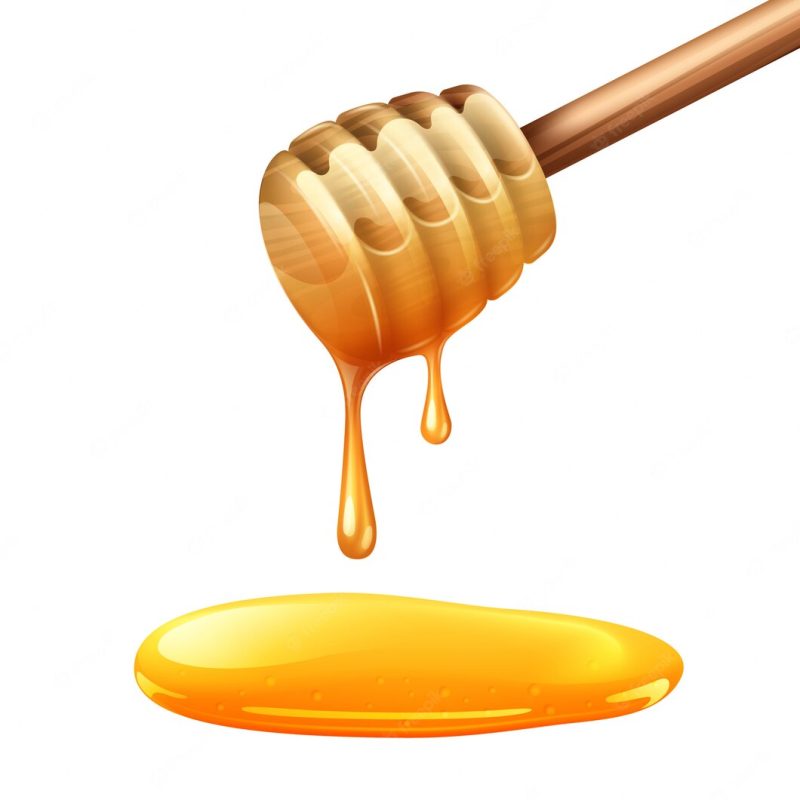 Honey stick illustration Free Vector