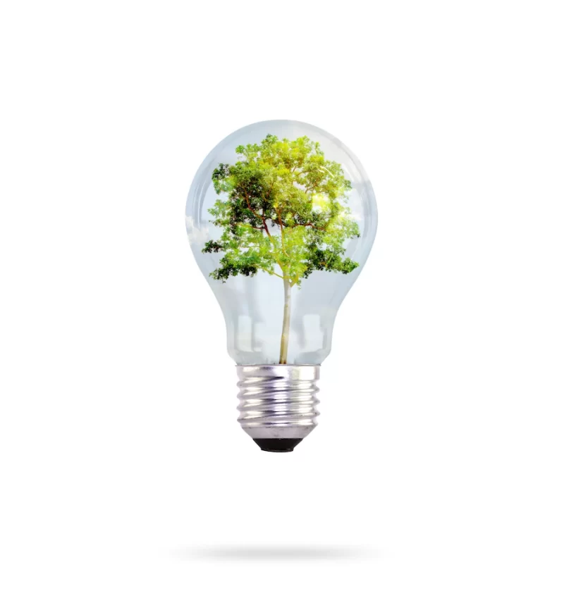 Light bulb with tree inside Free Photo